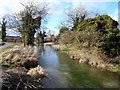 SU3378 : River Lambourn, Bockhampton Rd. (upstream) by Des Blenkinsopp