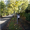 Please drive carefully request on a litter bin in  Church Stretton