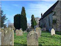 TQ0934 : Holy Trinity, Rudgwick: churchyard (iii) by Basher Eyre