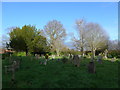 Holy Trinity, Rudgwick: churchyard (vi)