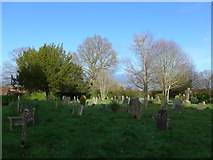 TQ0934 : Holy Trinity, Rudgwick: churchyard (vi) by Basher Eyre