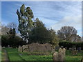 Holy Trinity, Rudgwick: churchyard (x)