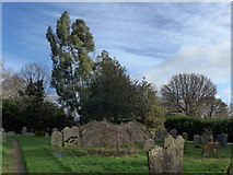 TQ0934 : Holy Trinity, Rudgwick: churchyard (x) by Basher Eyre