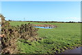 Farmland at Kildrochet Mains