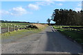 Road to Culgrange approaching Broom Park Plantation