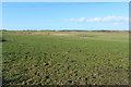 Farmland near Little Lochans