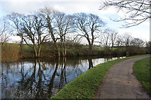 SD4764 : The Lancaster Canal near Foley Farm by Bill Boaden