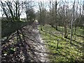 Permissive footpath, Nosterfield Quarry