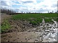 Muddy field entrance, west of Leases Wood