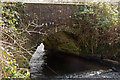 Yeo Mill Bridge on the river Yeo as seen from downstream