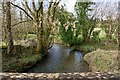 Looking down the river Yeo from Yeo Mill Bridge