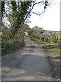 Arrewig Lane from near Three Gates Farm