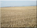 Stubble field