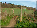 Footpath to Chilworth