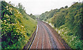 Site of Falkland Road station