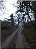 SX7790 : Minor road through Wallon  by David Smith