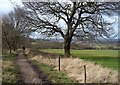 Path and Byway near Woodend Cottage