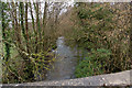 Looking up the river Yeo from Tout