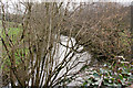 Looking up the river Yeo from Rawstone Bridge