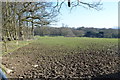 Muddy field edge near Hackhurst Farm