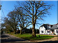 House and trees on Alton Lane