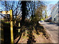 Looking north on Lymington Bottom from footpath