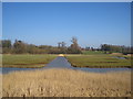 Drain near Ramsholt Lodge Farm