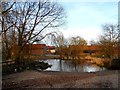 Pond at Redbournbury