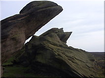 SJ9964 : Rocks, The Roaches beside the path by John Harrison