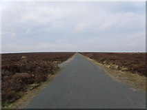 NZ7900 : Road  over  the  North  York  Moors by Martin Dawes