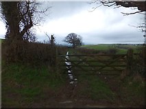 SX7691 : Bridleway to Coombe Hall from Lower Eggbeer by David Smith
