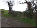 SX7691 : The effect of wet weather on road, field and bridleway by David Smith