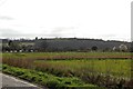 View towards the school north of Ashingdon