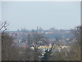 Trees in Chantry Park and industry outside it