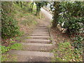Steps down from Chantry Park