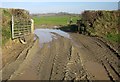 Muddy track near Ottery