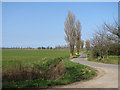 View along Church Road, Gisleham