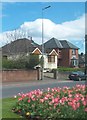 Houses at the northern end of the A7 (Saintfield Road)