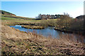 Lochan Near Hollybush Farm