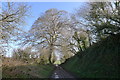 Checcombe Lane approaching the B3148