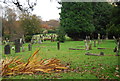 Cemetery in Fernhurst