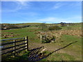 Piped brook near Meadow Top