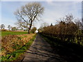 Park Road, Fallaghearn