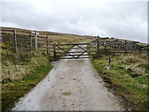 SD7788 : The bridleway to Arten Gill Moss by Christine Johnstone
