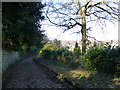 Cobbles on Swiss Hill at Alderley Edge