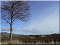 North Auchray from Templeton Road