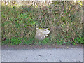 Toppled boundary stone: Tynewydd, Eglwyswrw