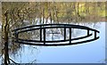NT5133 : Submerged footbridge, Abbotsmoss by Jim Barton