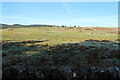 Farmland at Bents Farm