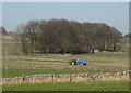 Muckspreading on  Daisymere Farm